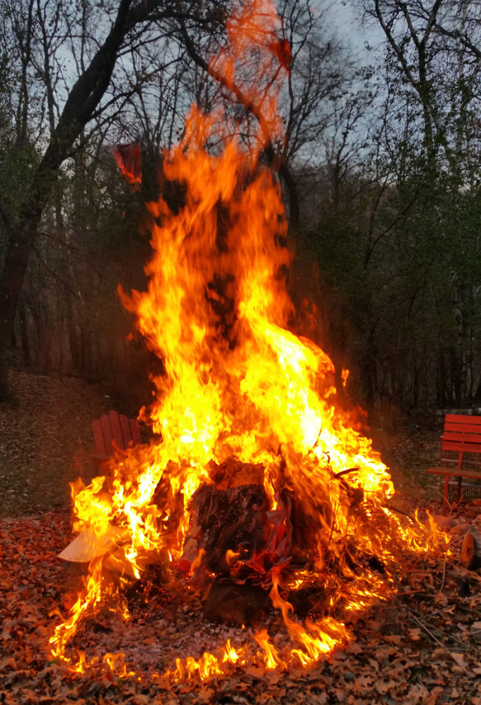 Firepit Flame